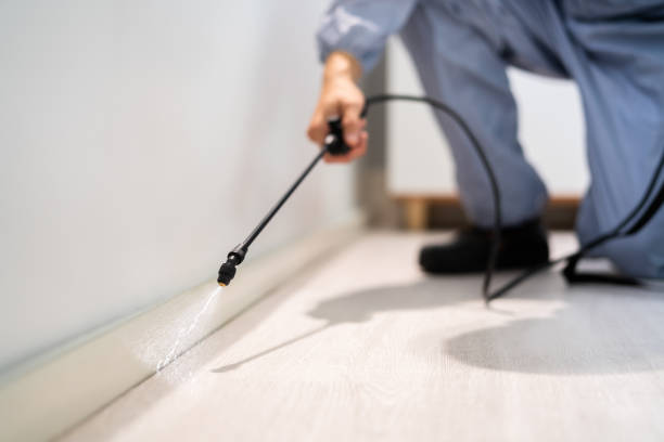 Licensed Fumigation Services service in Santa Clarita, CA - Nex Pest Control