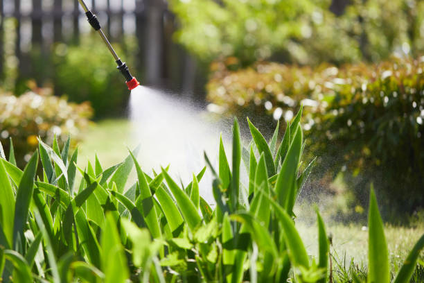 24/7 Emergency Fumigation Services experts in Santa Clarita, CA