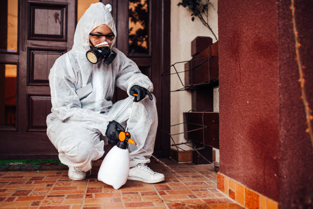 Reliable Fumigation Services contractor in Santa Clarita, CA by Nex Pest Control