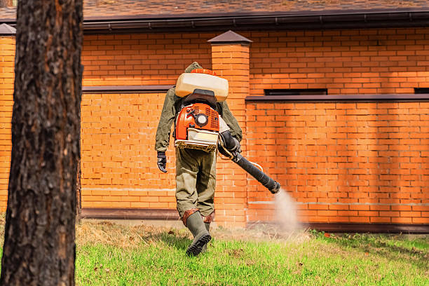 Trusted Rodent Control service in Santa Clarita, CA - Nex Pest Control